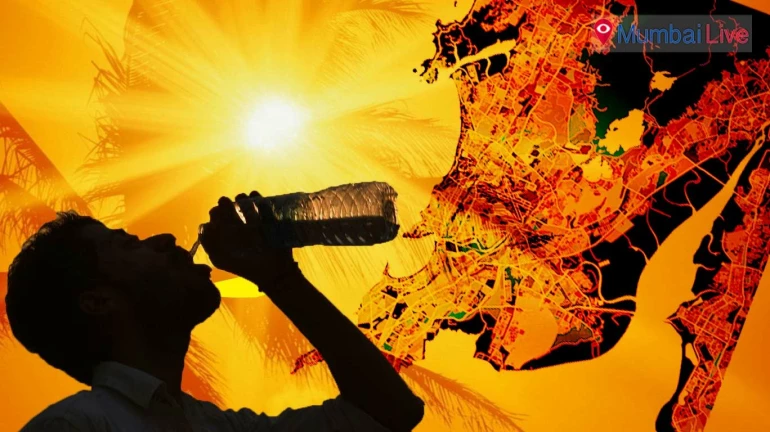 Mumbai Weather Update: City records hottest day at 39.2 degrees Celsius