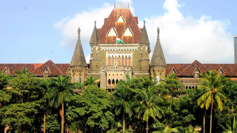 Bombay HC stays cutting down of over 750 trees in Dahanu for Highway Widening Project