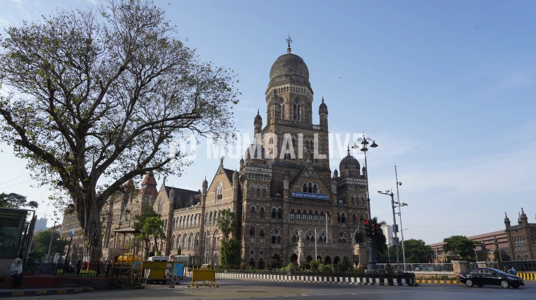 Courts Halt BMC's Road-Widening Project in Malad After Residents Raise Concerns