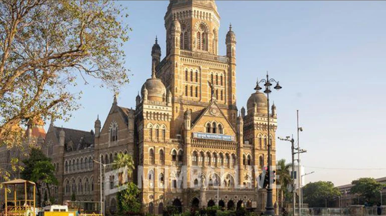 Encroachment Cleared Along Dahisar-Borivali Corridor; BMC Targets Slum-Based Businesses with Property Tax