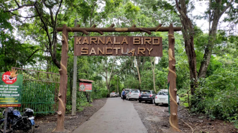 Trap Cameras and Upgrades Propel Karnala Sanctuary’s Conservation and Visitor Experience